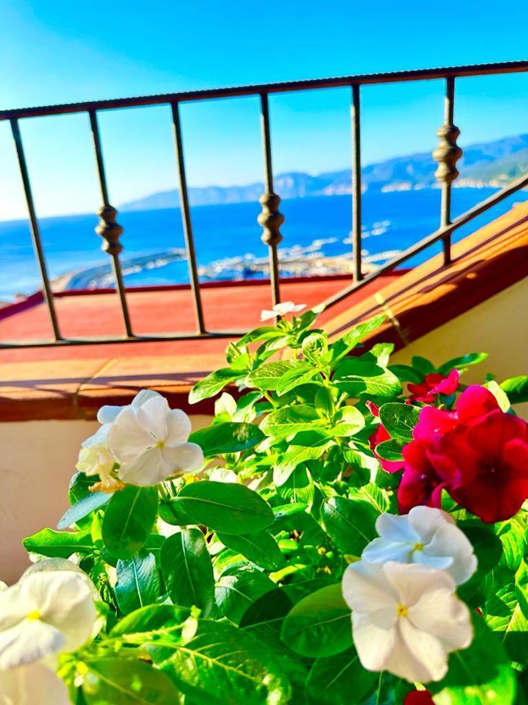 Cala Gonone Houseアパートメント エクステリア 写真
